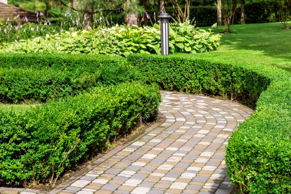 Cost of Paved Landscaping in Allen