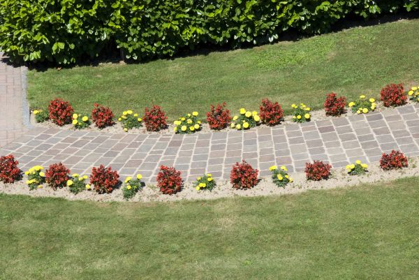 Cost of Garden Paving in Allen
