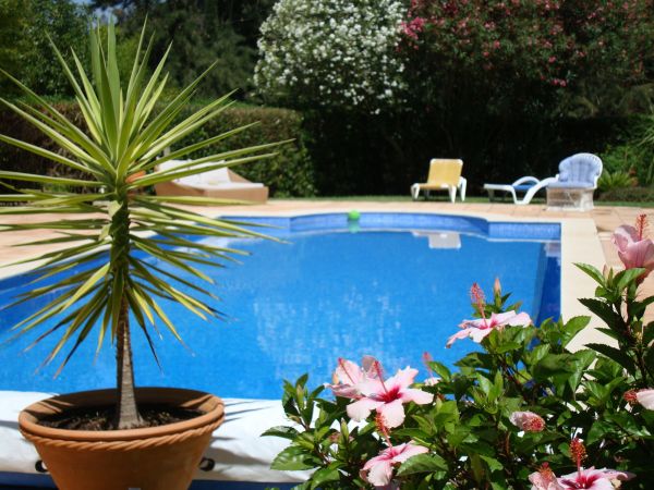 Cost of Pool Terrace Renovation in Allen