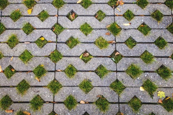 Cost of Porous Paver Installation in Allen